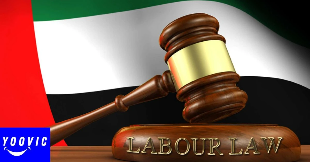 Labour Law in the UAE: Key Rules Every Worker Should Know in 2025