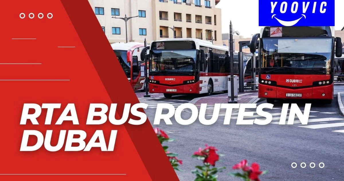 RTA Bus Timings in Dubai: Essential Guide for Commuters