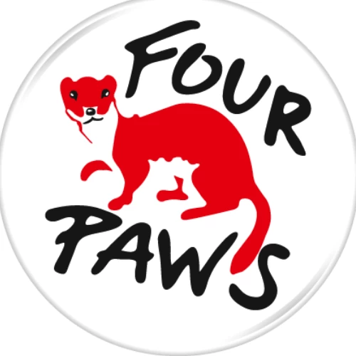 Four paws