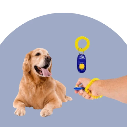 Clickers
