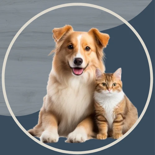 Pets