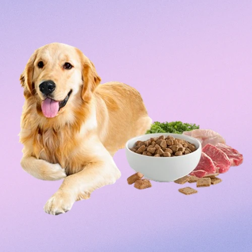 Pet Food