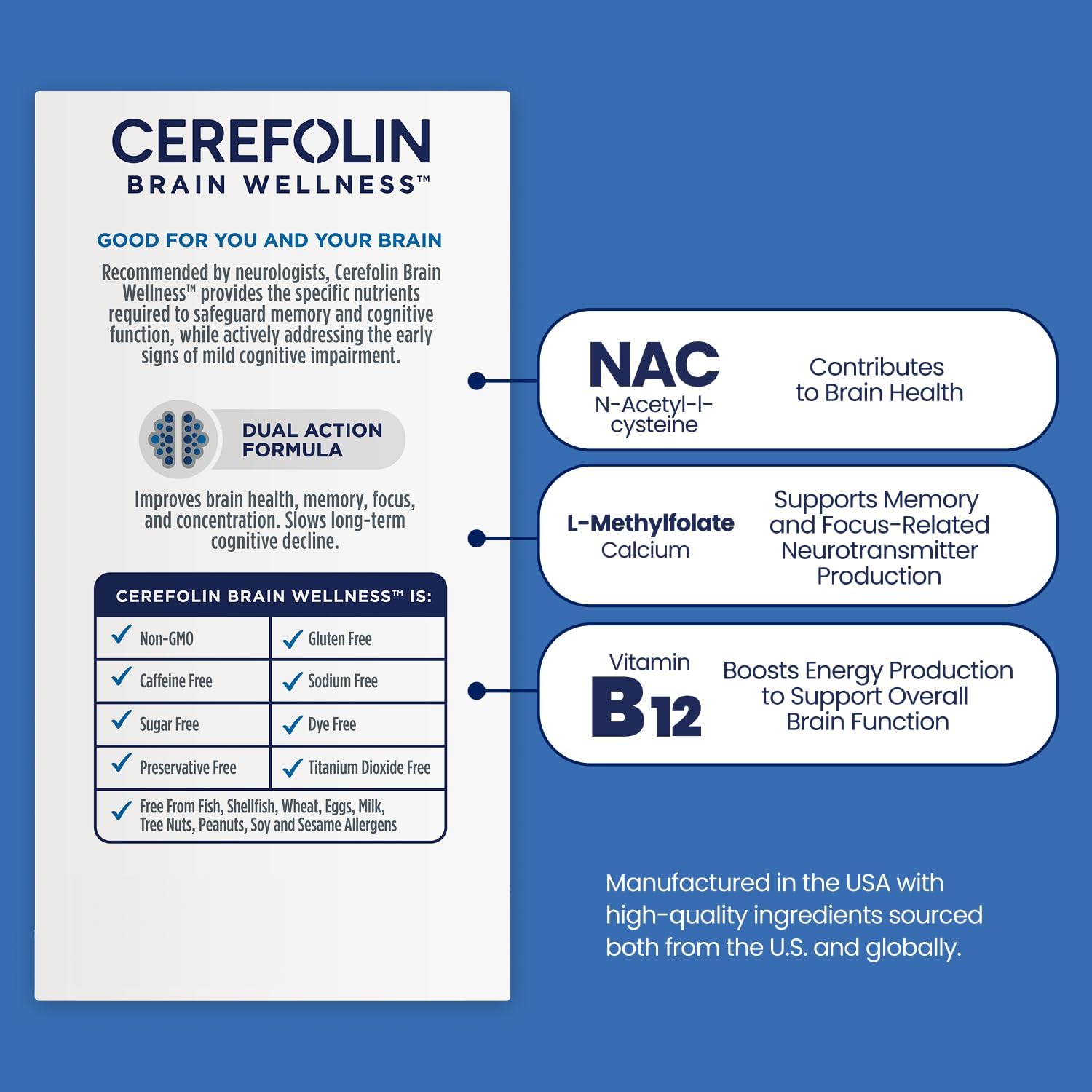 Brain Wellness Cognitive Support Supplement – Targeted Nutrition for Memory, Foc