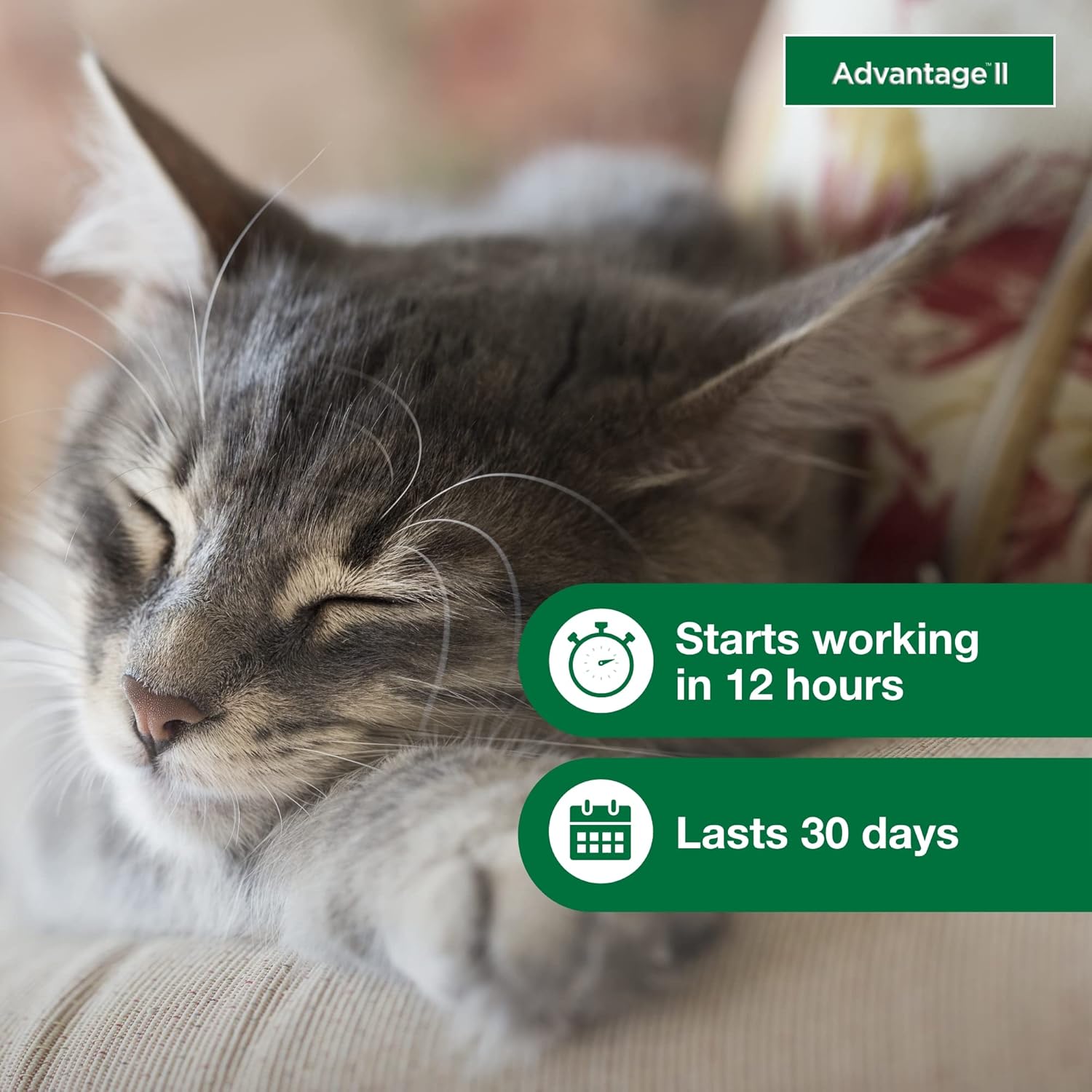 Advantage II Flea Treatment for Small Cats – Vet-Recommended, 6-Month Supply for