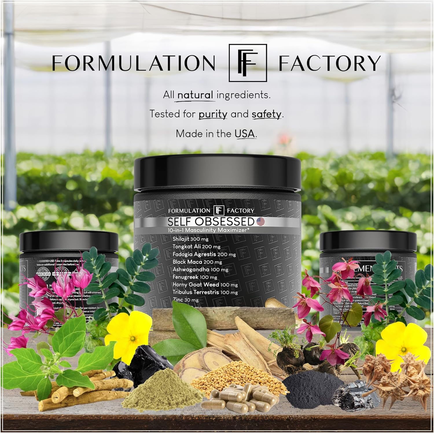 Formulation Factory Self Obsessed 10-in-1 Masculinity Maximizer – Shilajit, Tong