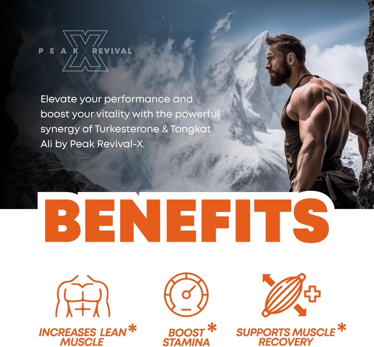 Turkesterone & Tongkat Ali 1000mg Supplement – 500mg Ajuga Turkestanica per Serv