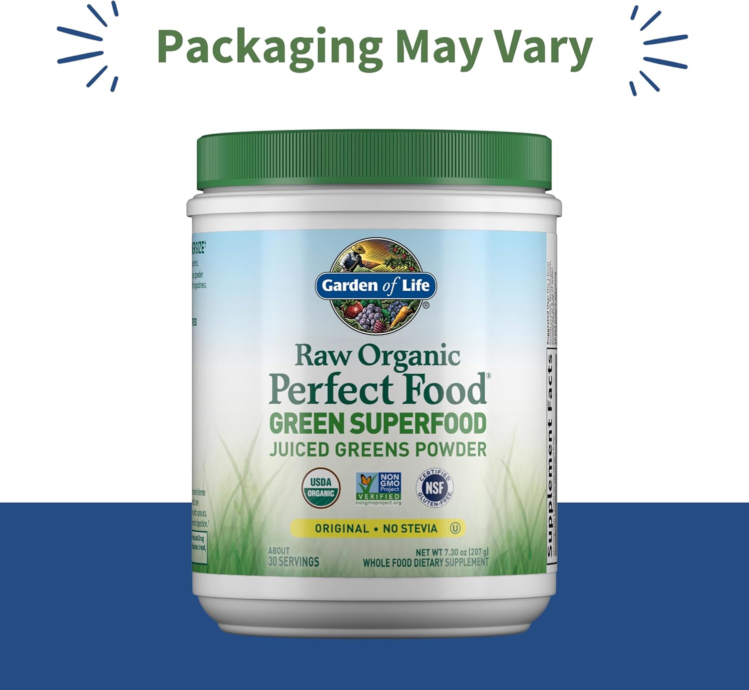 Garden of Life Raw Organic Perfect Food Green Superfood Powder – Stevia-Free, 30