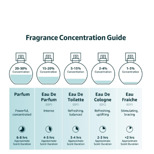 Chanel 19 Poudre Eau de Parfum Spray – Women’s Luxury Fragrance, 3.4 oz / 100 ml