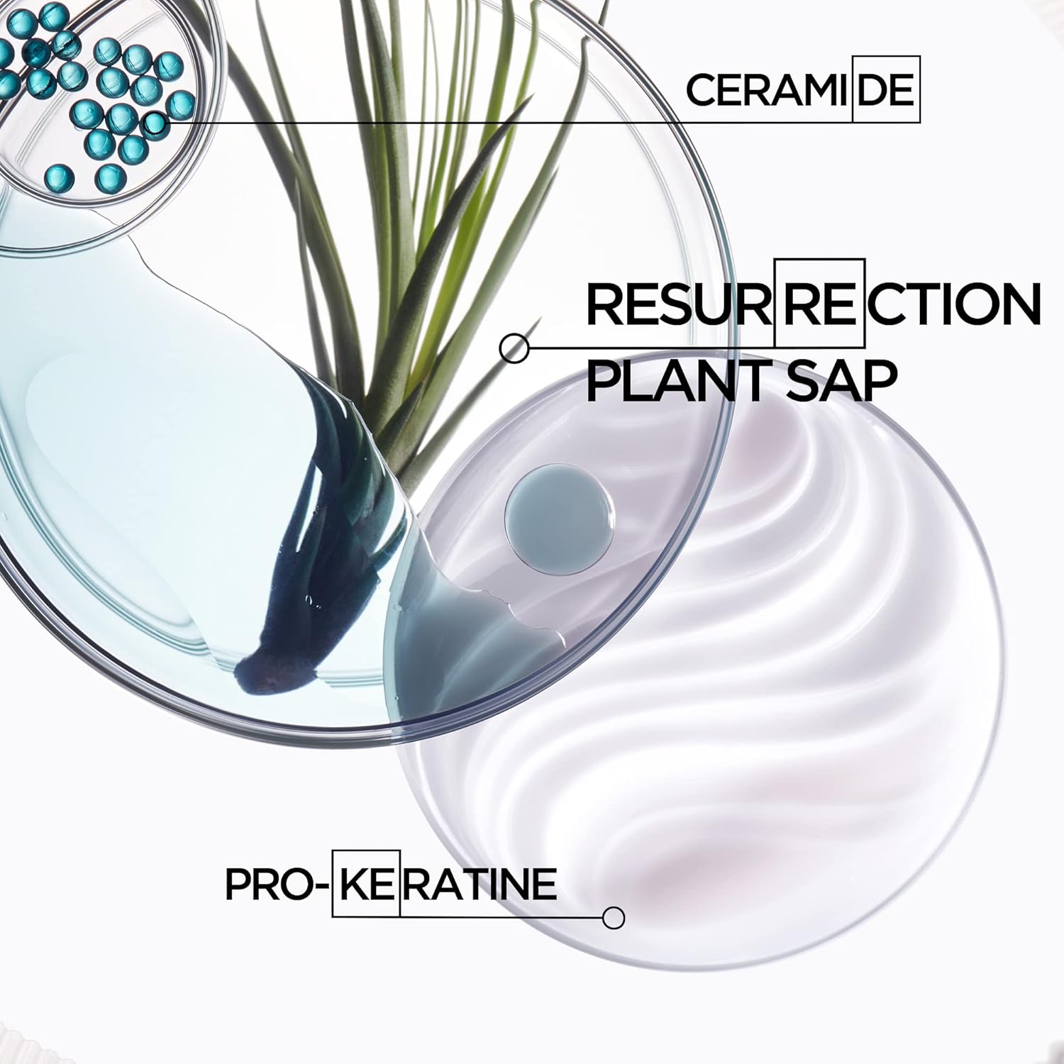 Kérastase Résistance Force Architecte Reconstructing Hair Mask | Strengthens & R