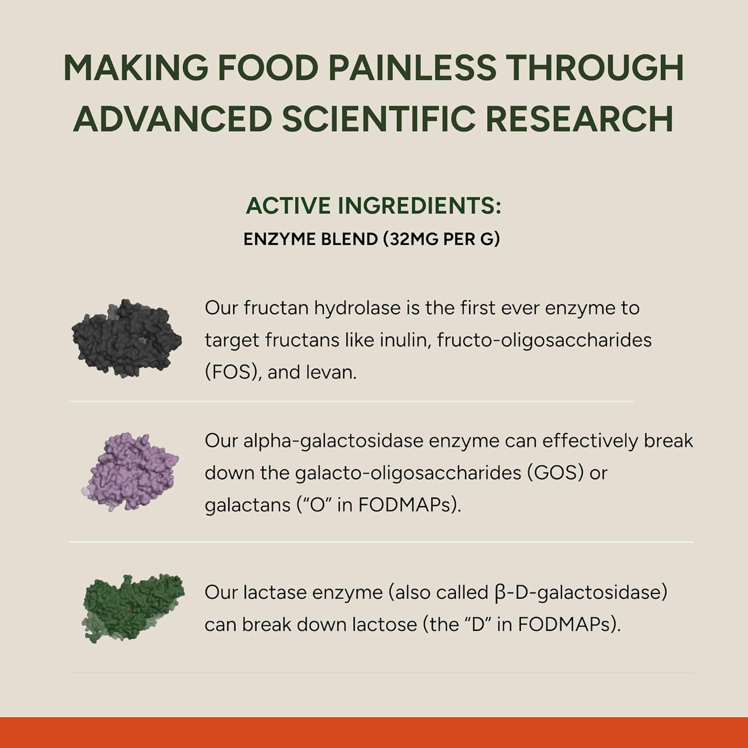 FODZYME® On-The-Go Digestive Enzymes – Gut Health & Relief from Bloating, Gas, C