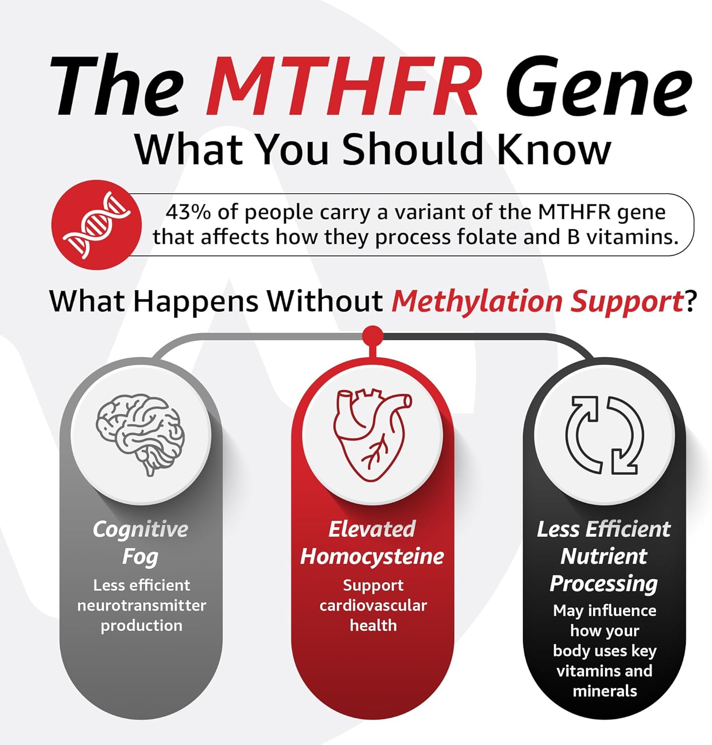 10X Health Optimize Methylated Multivitamin for Men – 34-in-1 Formula with Methyl B Complex, B12 (800 mcg), 5-MTHF & NAC (90 Capsules)