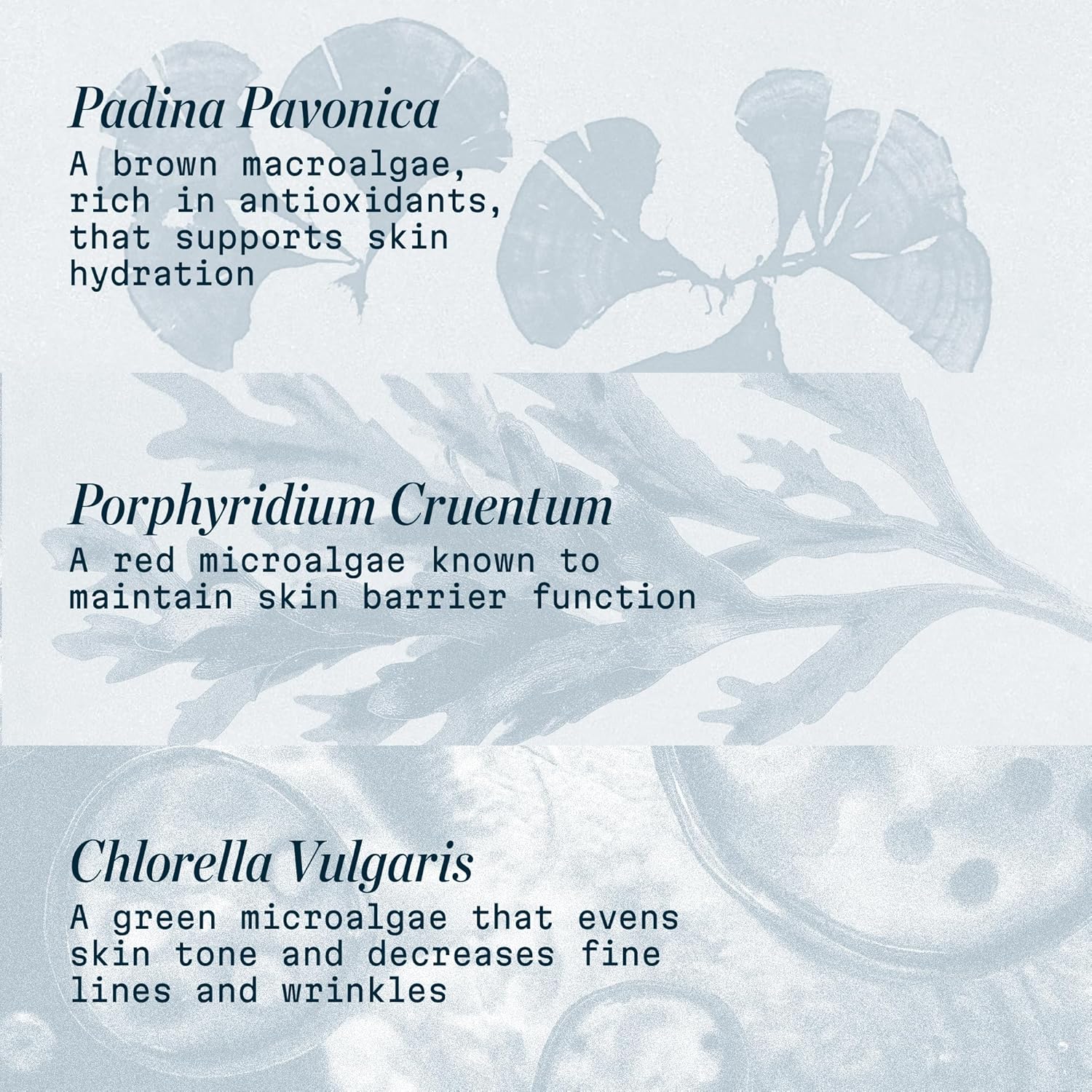 ELEMIS Pro-Collagen Marine Cream SPF 30 1.69 fl oz – Lightweight Anti-Wrinkle Daily Face Moisturizer with Sun Protection