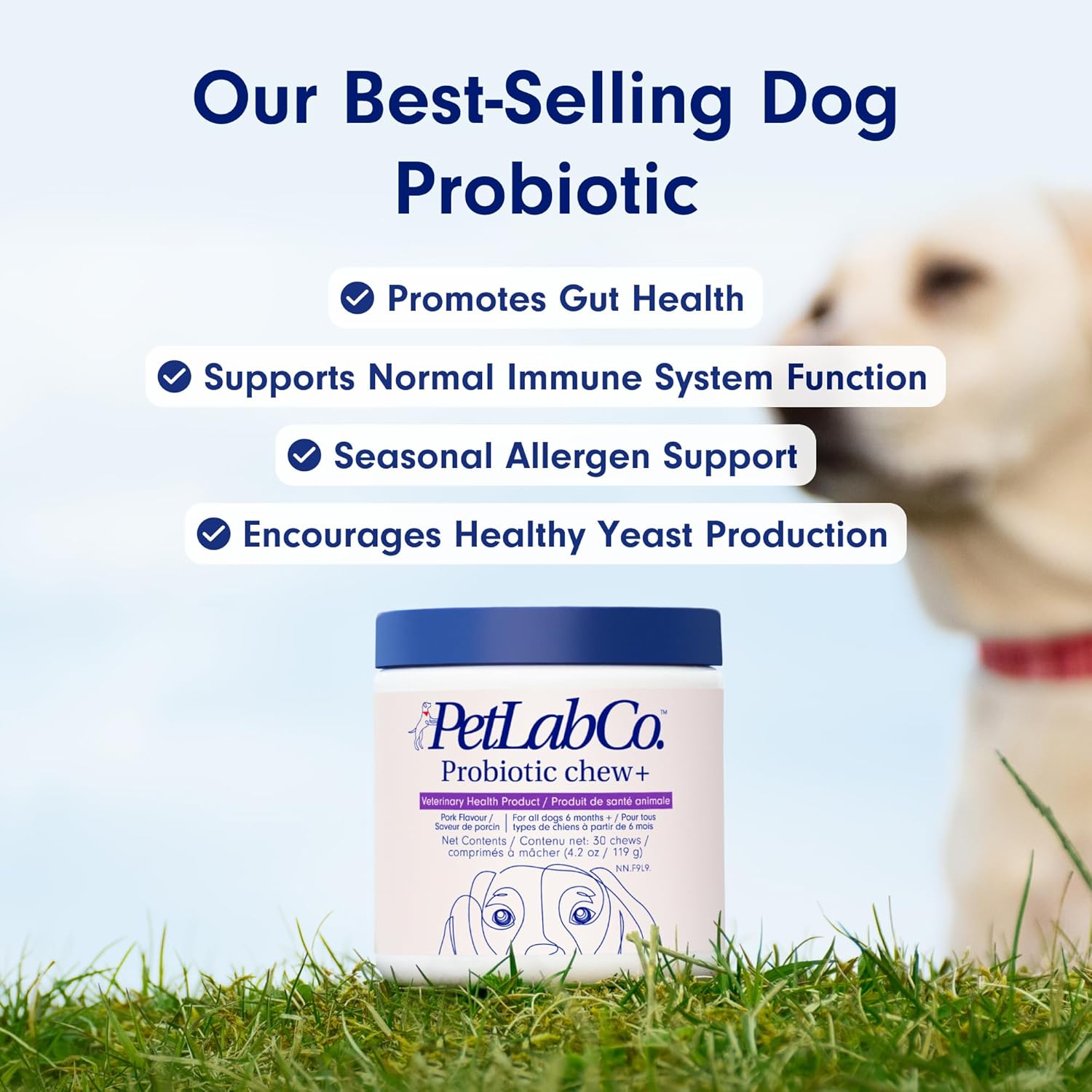 PetLab Co. Dog Probiotics Chews – Gut Health, Itchy Skin, Allergy & Yeast Support for Small, Medium & Large Dogs 119 g