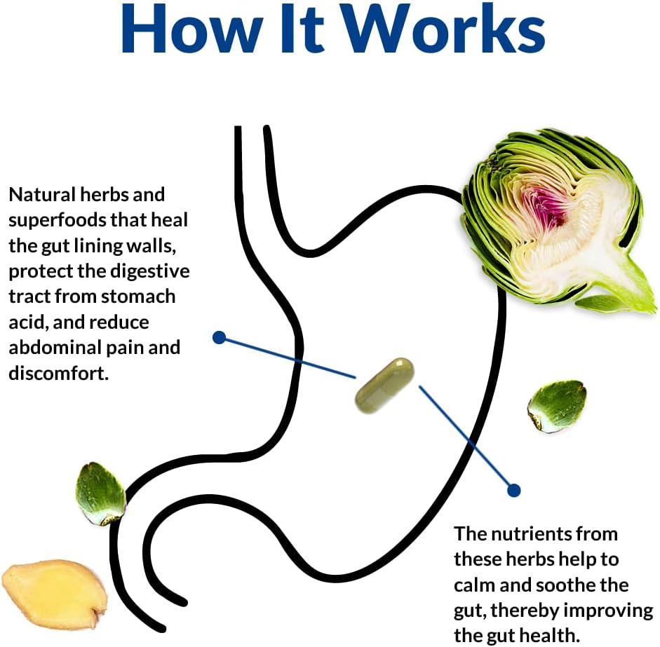 Holistic Health Labs Gut Alive Digestive Support Supplement – Natural Relief for IBS, Acid Reflux, Heartburn, Bloating & Gas (60 Capsules)