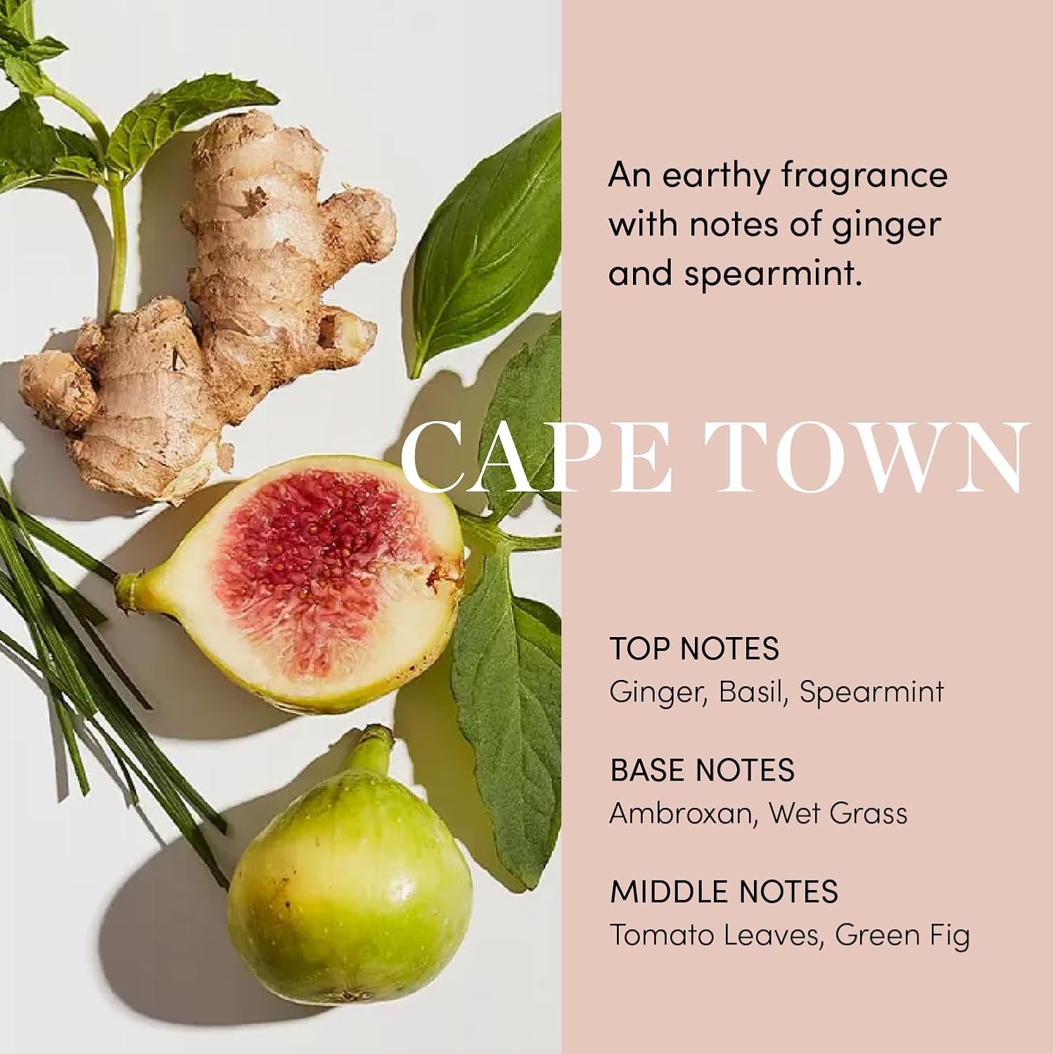 OUAI Scalp Serum – Balancing Hair & Scalp Treatment with Peptides, Red Clover & Siberian Ginseng for Thicker Fuller-Looking Hair (2 fl oz)