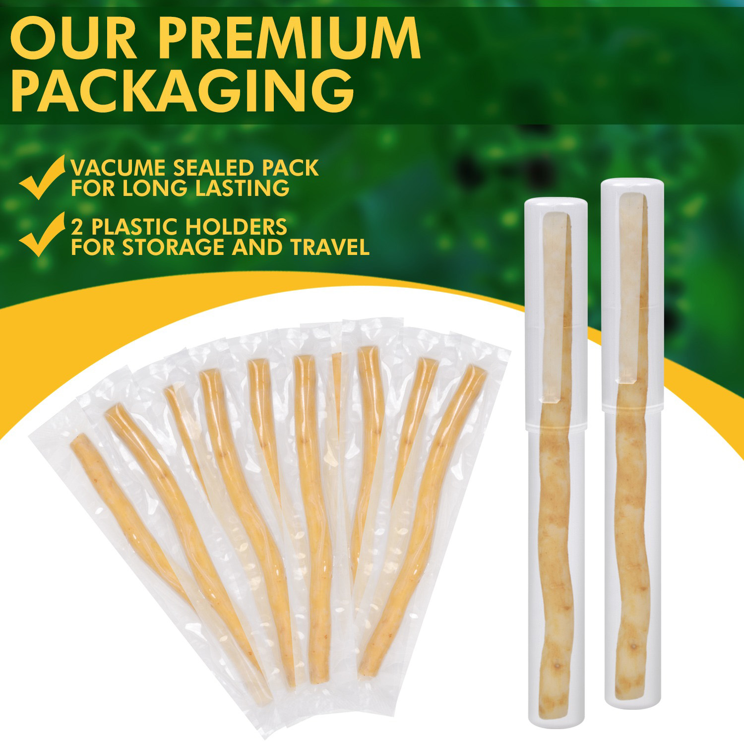 Miswak Sticks for Teeth (Pack of 10 with 2 Holders) Herbal Oral Care, No Toothpaste Needed – 100% Organic Chewing Sticks, Salvadora Persica (6 inch)