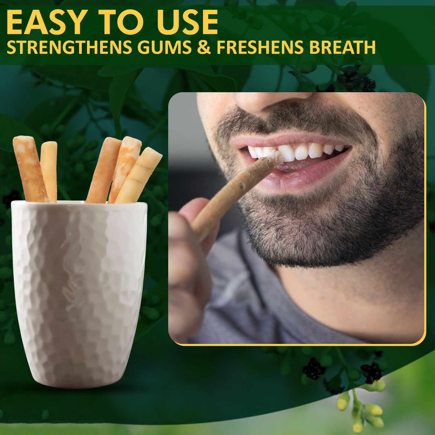 Miswak Sticks for Teeth (Pack of 10 with 2 Holders) Herbal Oral Care, No Toothpaste Needed – 100% Organic Chewing Sticks, Salvadora Persica (6 inch)