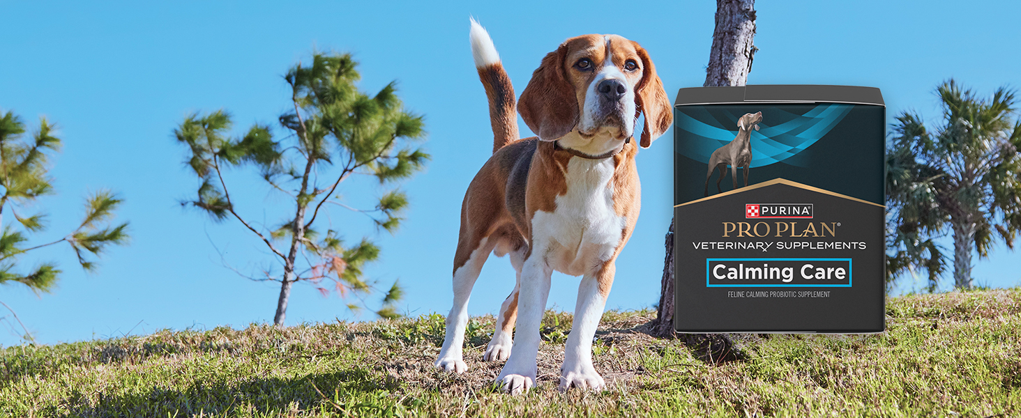 Purina Pro Plan Veterinary Supplements FortiFlora Canine Probiotics for Dogs – S banner 2