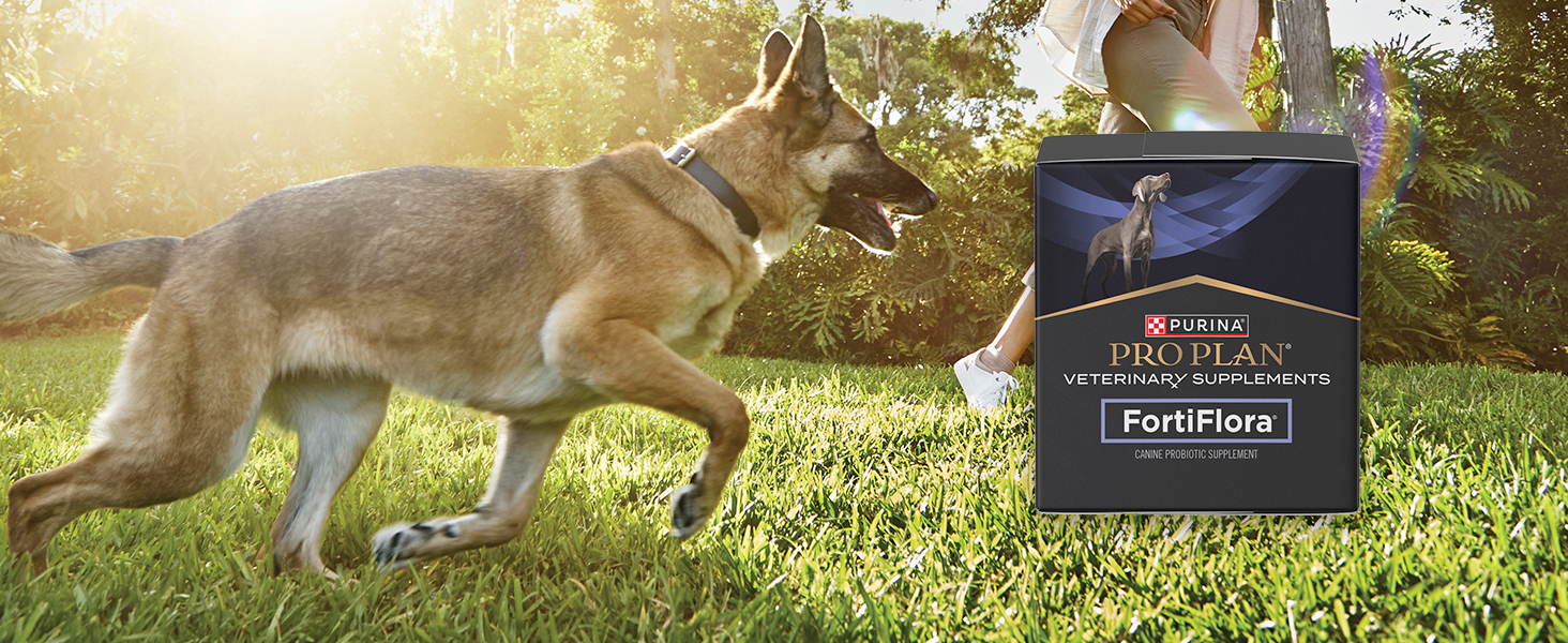 Purina Pro Plan Veterinary Supplements FortiFlora Canine Probiotics for Dogs – S banner 1