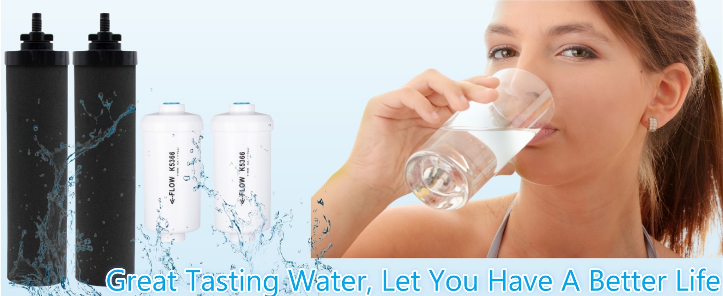 Water Filter Replacement for Berkey Systems, Compatible with BB9-2 Black & PF-2 banner 1
