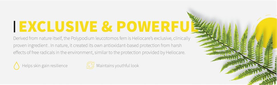 Heliocare Skin Care Supplement – 240mg Polypodium Leucotomos with Fernblock & PL banner 3
