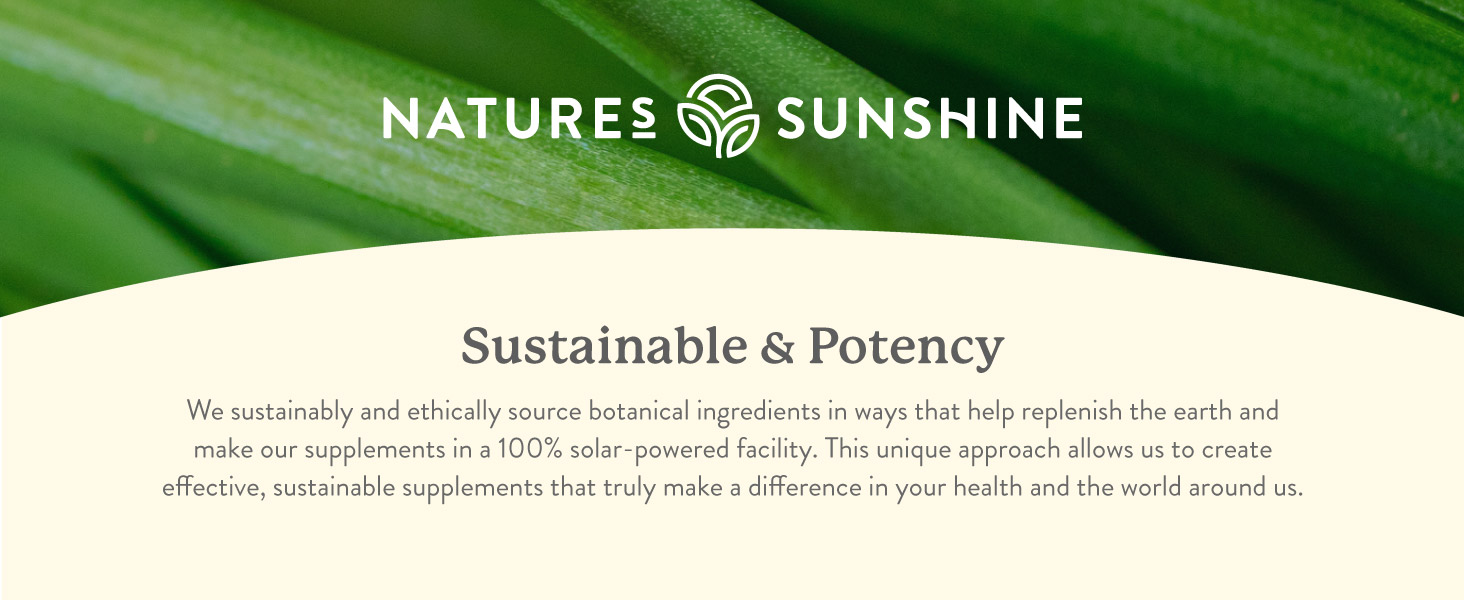 Nature's Sunshine Chlorophyll Stick Packs – Detox, Gut Health & Energy Support – banner 1