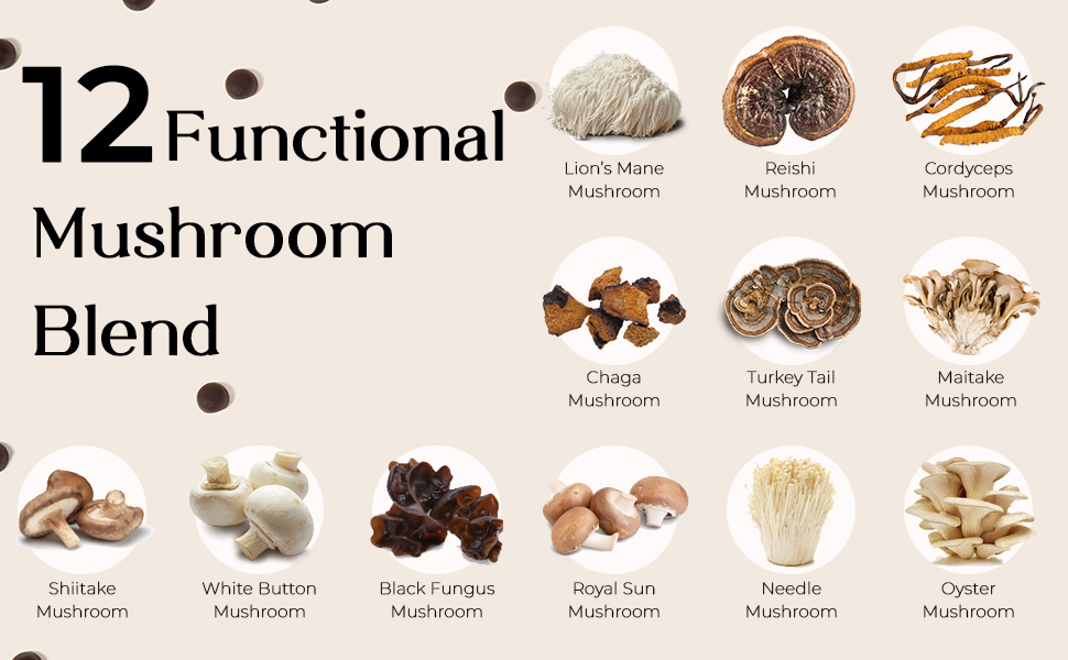 Auri Super Mushroom Daily Gummies – All-in-One Functional Gummies with 12 Mushro banner 3