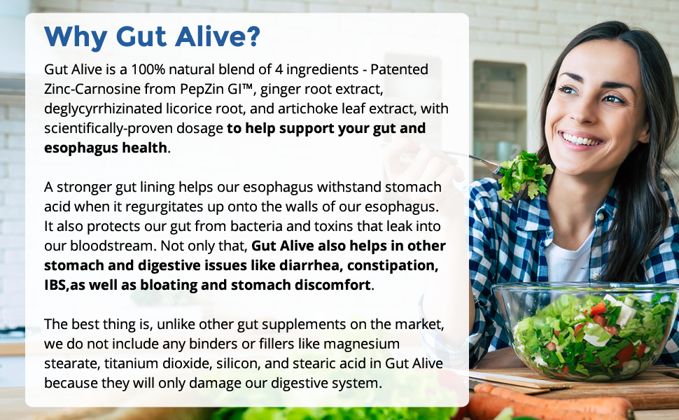 Holistic Health Labs Gut Alive Digestive Support Supplement – Natural Relief for IBS, Acid Reflux, Heartburn, Bloating & Gas (60 Capsules) banner 2